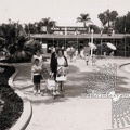 San Diego Zoo - 1955