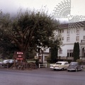 Redwood Stump - Scotia Inn - Scotia 1963