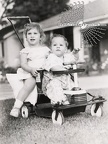 Cute Children On A Stroller Cart