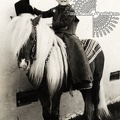 Pony Ride Memory