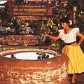 The Wishing Well at Ramona's Marriage Place