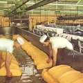 Tillamook Cheese Factory Kitchen