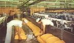 Tillamook Cheese Factory Kitchen