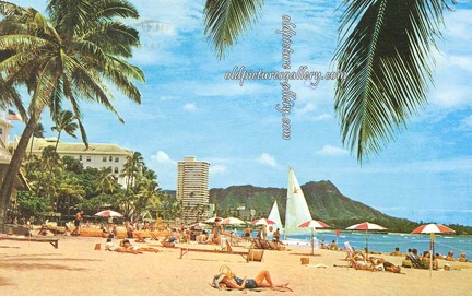 Waikiki, Wish You Were Here