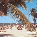 Matheson Hammock Park Beach, Coral Gables, Florida