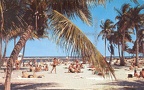 Matheson Hammock Park Beach, Coral Gables, Florida