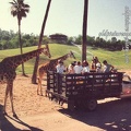 San Diego Wild Animal Park - Photo Caravan