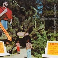 Paul Bunyan at the Trees of Mystery
