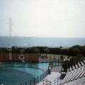 Marineland Of The Pacific - Old Photograph