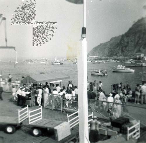the-marina-september-1956.jpg