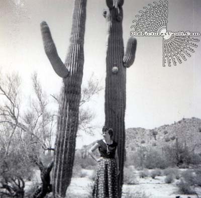 saguaro-tree-april-1955.jpg