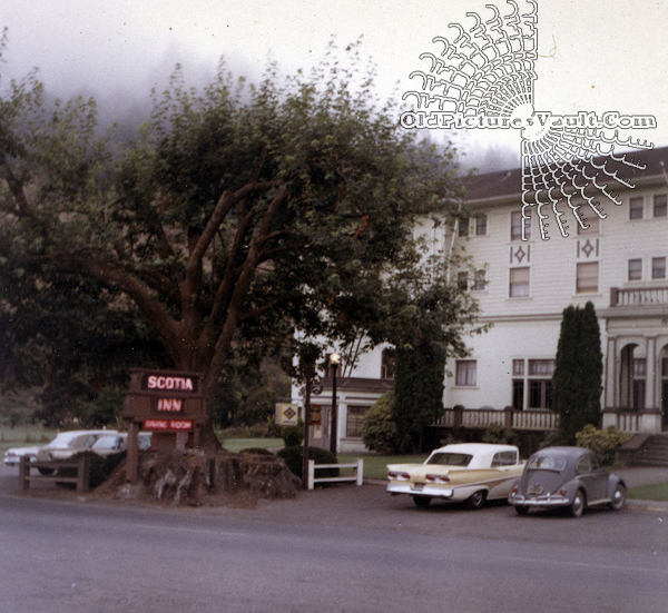 redwood-stump-scotia-inn-1963.jpg