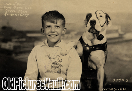 with-pete-our-gang-dog-atlantic-city.jpg