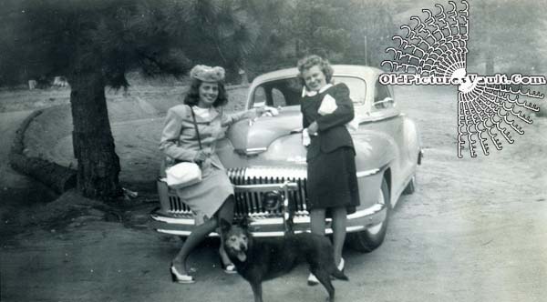 two-gals-one-dog-and-a-car.jpg