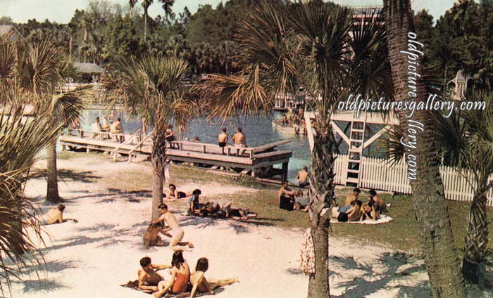 silver-springs-florida-vintage-postcard.jpg