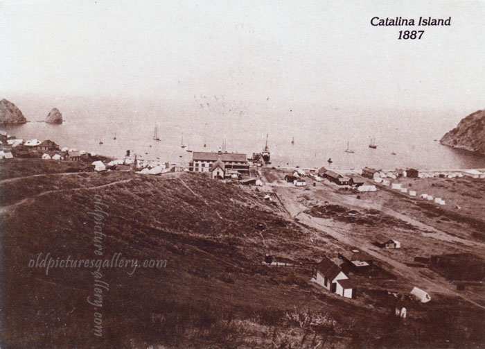 catalina-island-vintage-postcard.jpg
