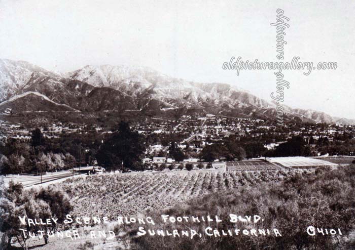 olde-tyme-postcard-sunland-california.jpg